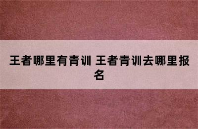 王者哪里有青训 王者青训去哪里报名